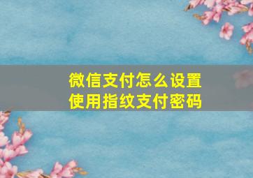 微信支付怎么设置使用指纹支付密码