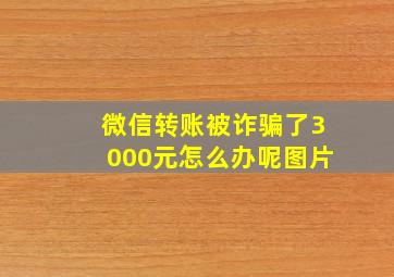 微信转账被诈骗了3000元怎么办呢图片