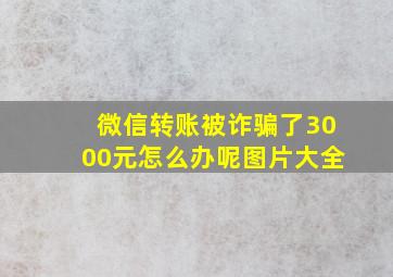 微信转账被诈骗了3000元怎么办呢图片大全