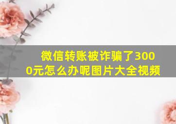 微信转账被诈骗了3000元怎么办呢图片大全视频