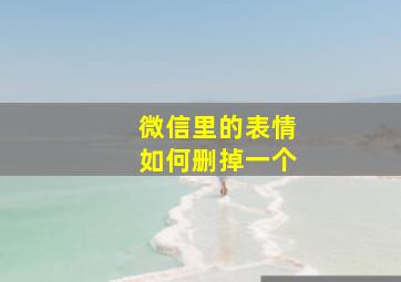 微信里的表情如何删掉一个