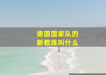 德国国家队的新教练叫什么