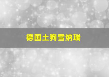 德国土狗雪纳瑞