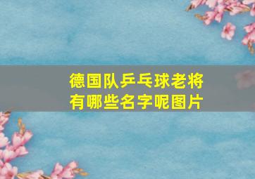 德国队乒乓球老将有哪些名字呢图片