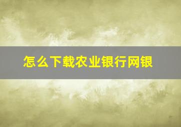 怎么下载农业银行网银