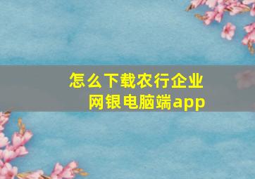 怎么下载农行企业网银电脑端app