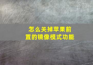 怎么关掉苹果前置的镜像模式功能