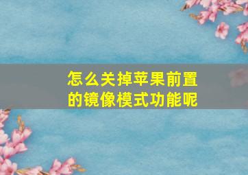 怎么关掉苹果前置的镜像模式功能呢