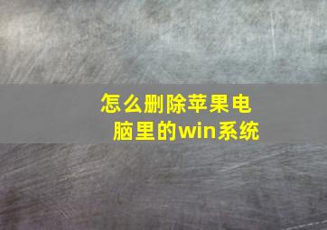 怎么删除苹果电脑里的win系统