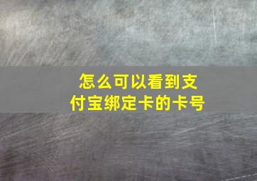 怎么可以看到支付宝绑定卡的卡号