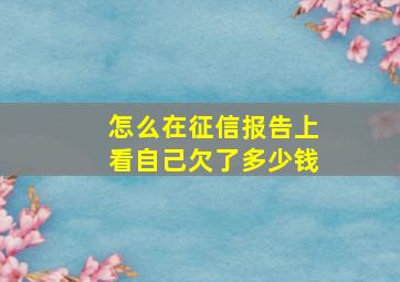 怎么在征信报告上看自己欠了多少钱