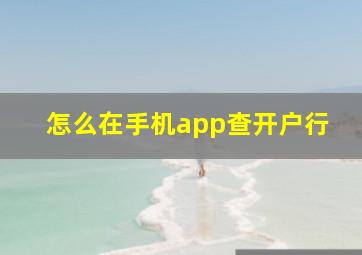 怎么在手机app查开户行