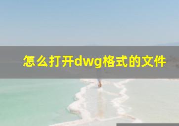 怎么打开dwg格式的文件