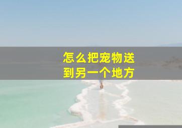 怎么把宠物送到另一个地方