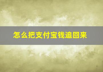 怎么把支付宝钱追回来