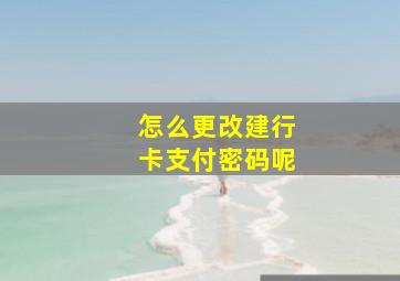 怎么更改建行卡支付密码呢