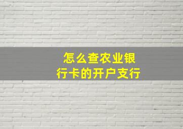 怎么查农业银行卡的开户支行