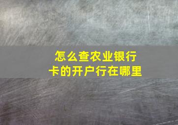 怎么查农业银行卡的开户行在哪里