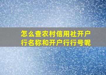 怎么查农村信用社开户行名称和开户行行号呢