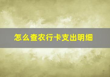 怎么查农行卡支出明细