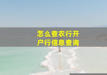 怎么查农行开户行信息查询