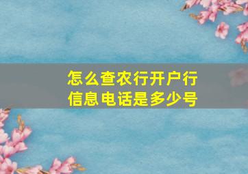 怎么查农行开户行信息电话是多少号