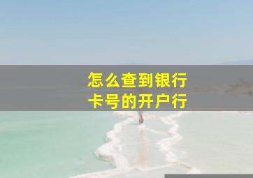 怎么查到银行卡号的开户行