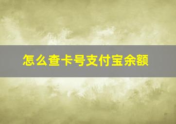 怎么查卡号支付宝余额