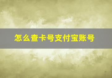 怎么查卡号支付宝账号