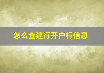 怎么查建行开户行信息