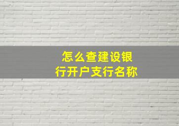 怎么查建设银行开户支行名称