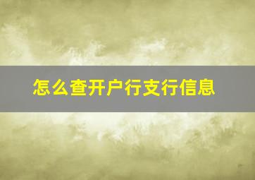 怎么查开户行支行信息