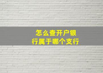 怎么查开户银行属于哪个支行