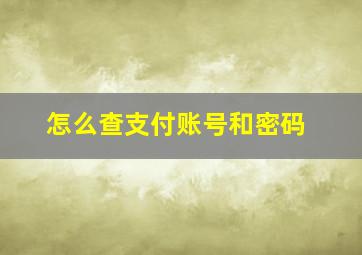 怎么查支付账号和密码