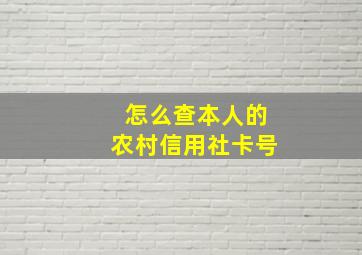 怎么查本人的农村信用社卡号