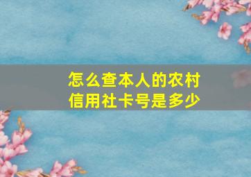 怎么查本人的农村信用社卡号是多少