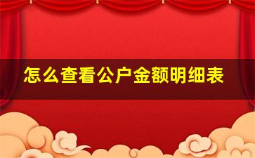 怎么查看公户金额明细表