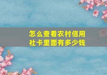 怎么查看农村信用社卡里面有多少钱