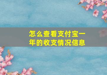 怎么查看支付宝一年的收支情况信息