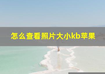 怎么查看照片大小kb苹果