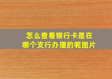 怎么查看银行卡是在哪个支行办理的呢图片