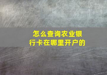 怎么查询农业银行卡在哪里开户的