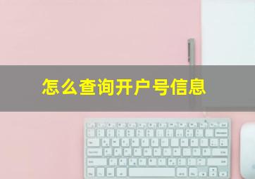 怎么查询开户号信息