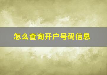 怎么查询开户号码信息