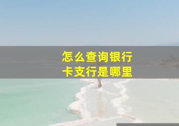 怎么查询银行卡支行是哪里