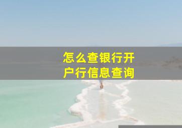 怎么查银行开户行信息查询