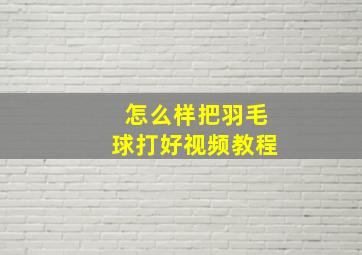 怎么样把羽毛球打好视频教程