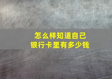 怎么样知道自己银行卡里有多少钱