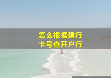 怎么根据建行卡号查开户行