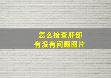 怎么检查肝部有没有问题图片